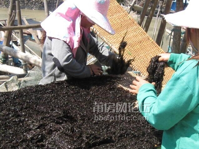 埭头天气-莆田市忠门镇天气预报,莆田埭头天云