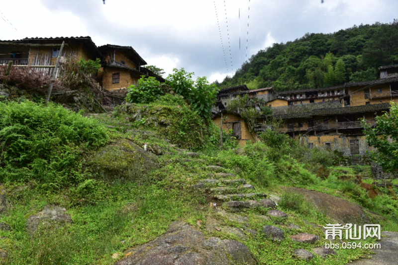 春夏游一西苑乡白岩村