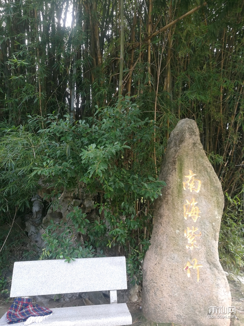 一大早冒死去荔枝公园了,竟然没有羞羞的事情了